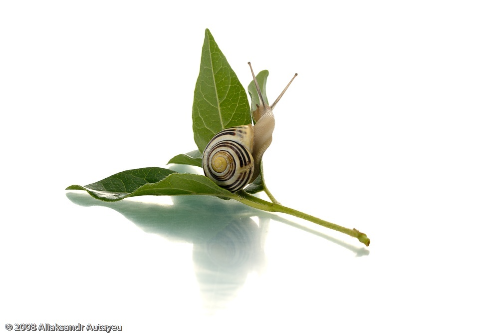 Hey, were are you? Hurry up!